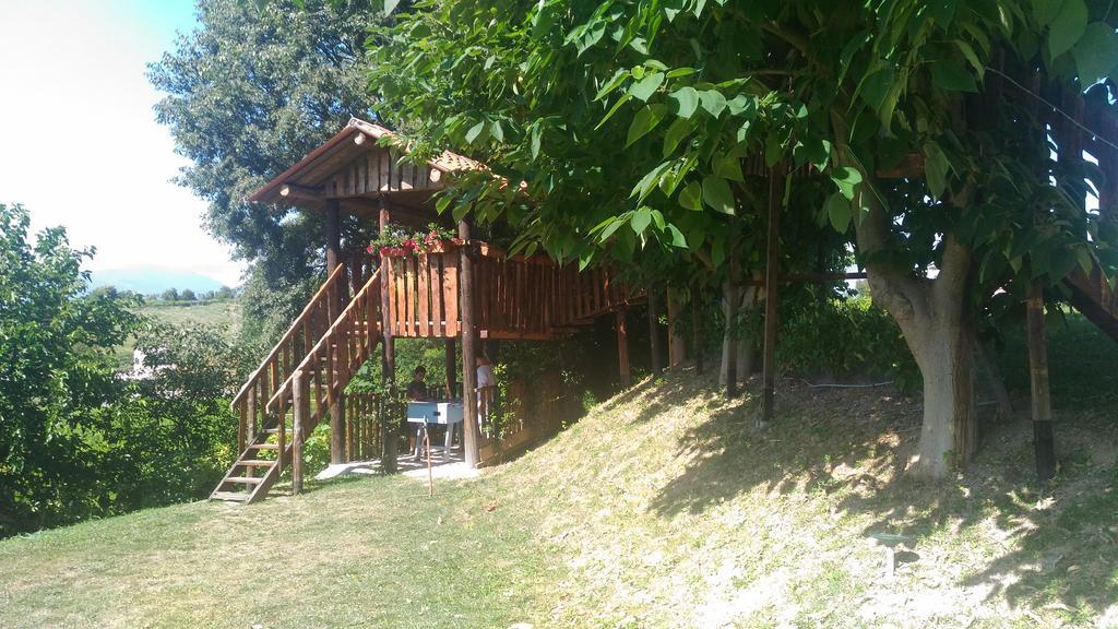 Farm stay Ca' Vecia Castelnuovo del Garda
