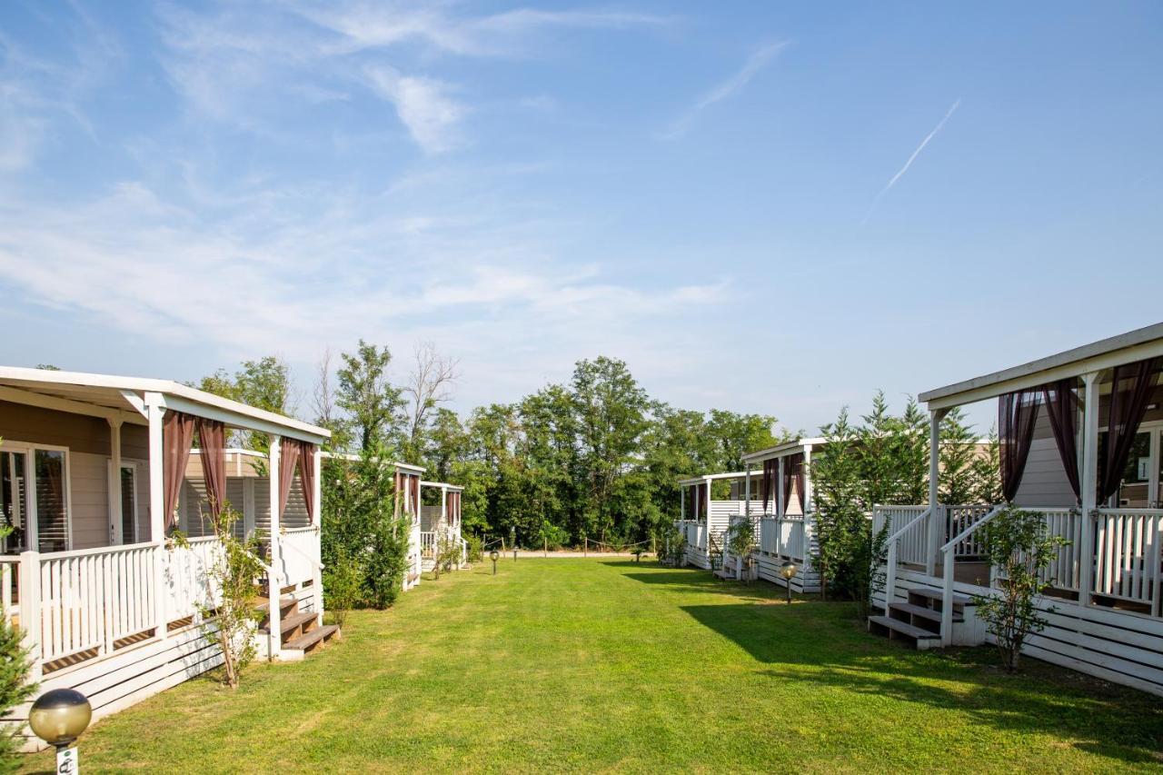 Farm stay Ca' Vecia Castelnuovo del Garda