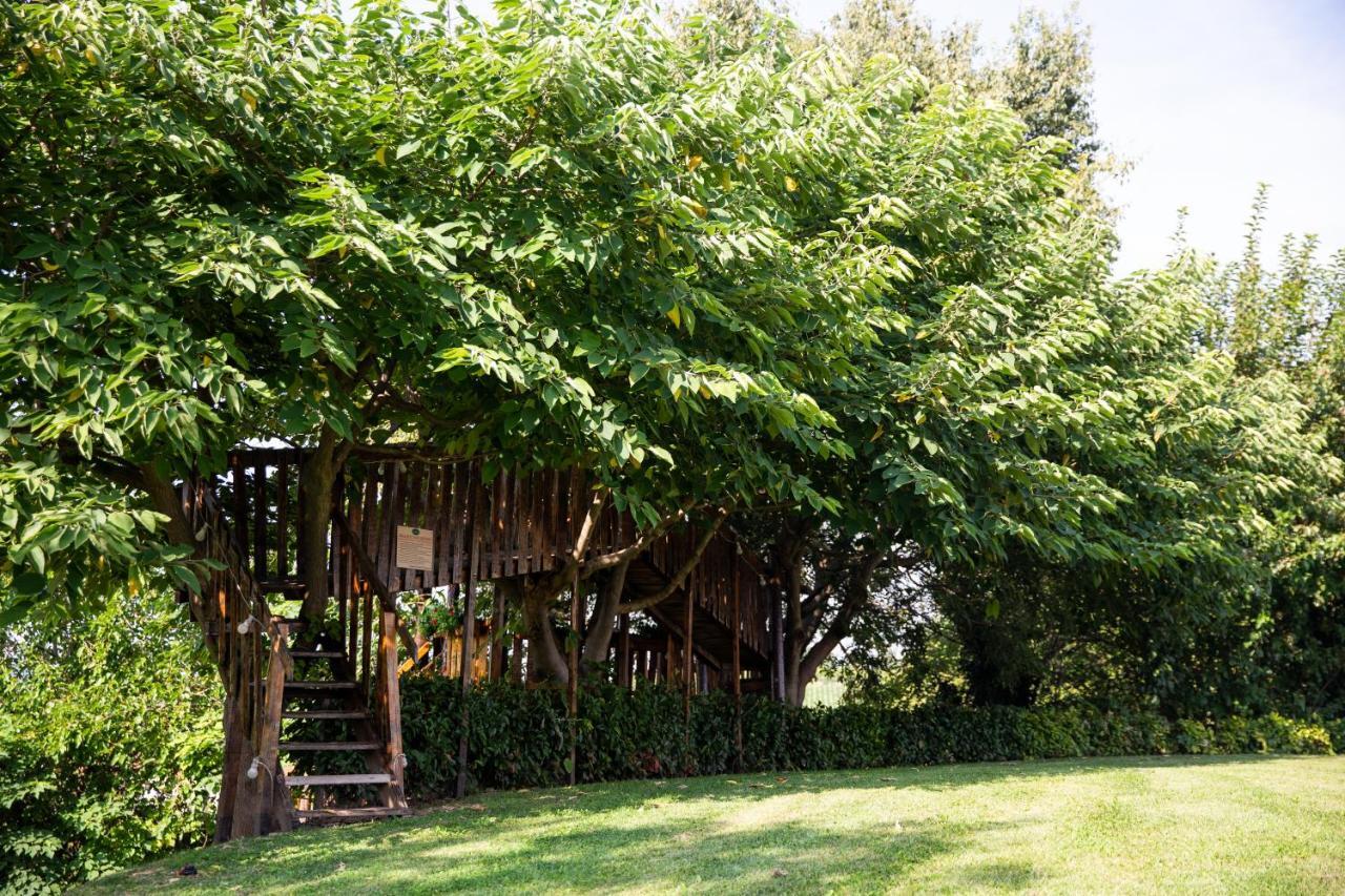 Ca' Vecia Farm stay