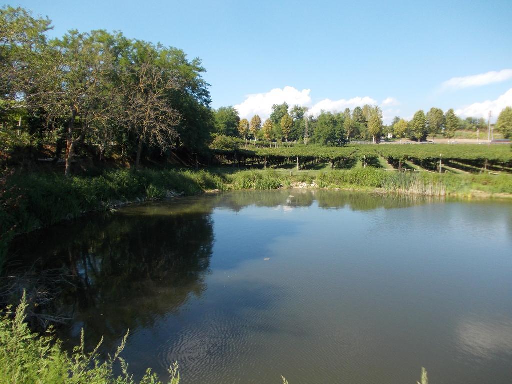 Ca' Vecia Alojamento de Turismo Rural Castelnuovo del Garda